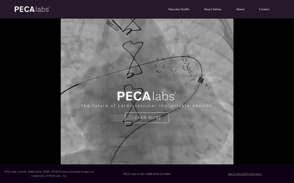 Peca Labs website preview