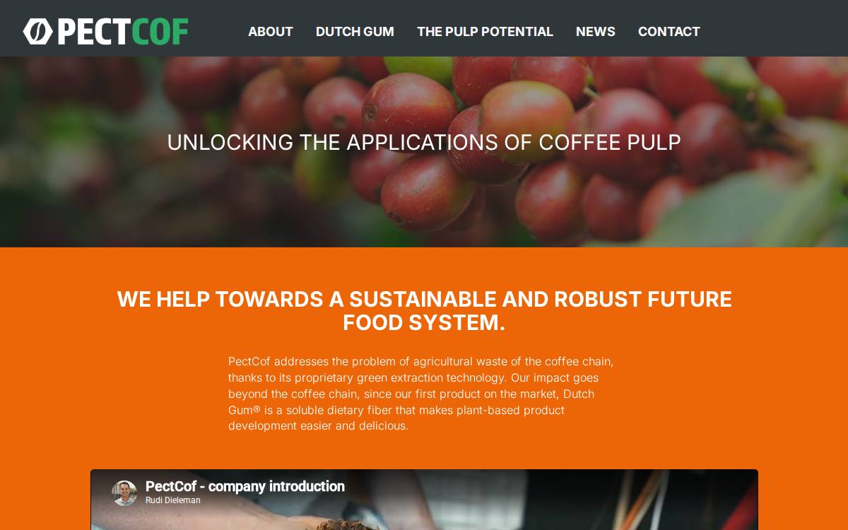 Pectcof website preview
