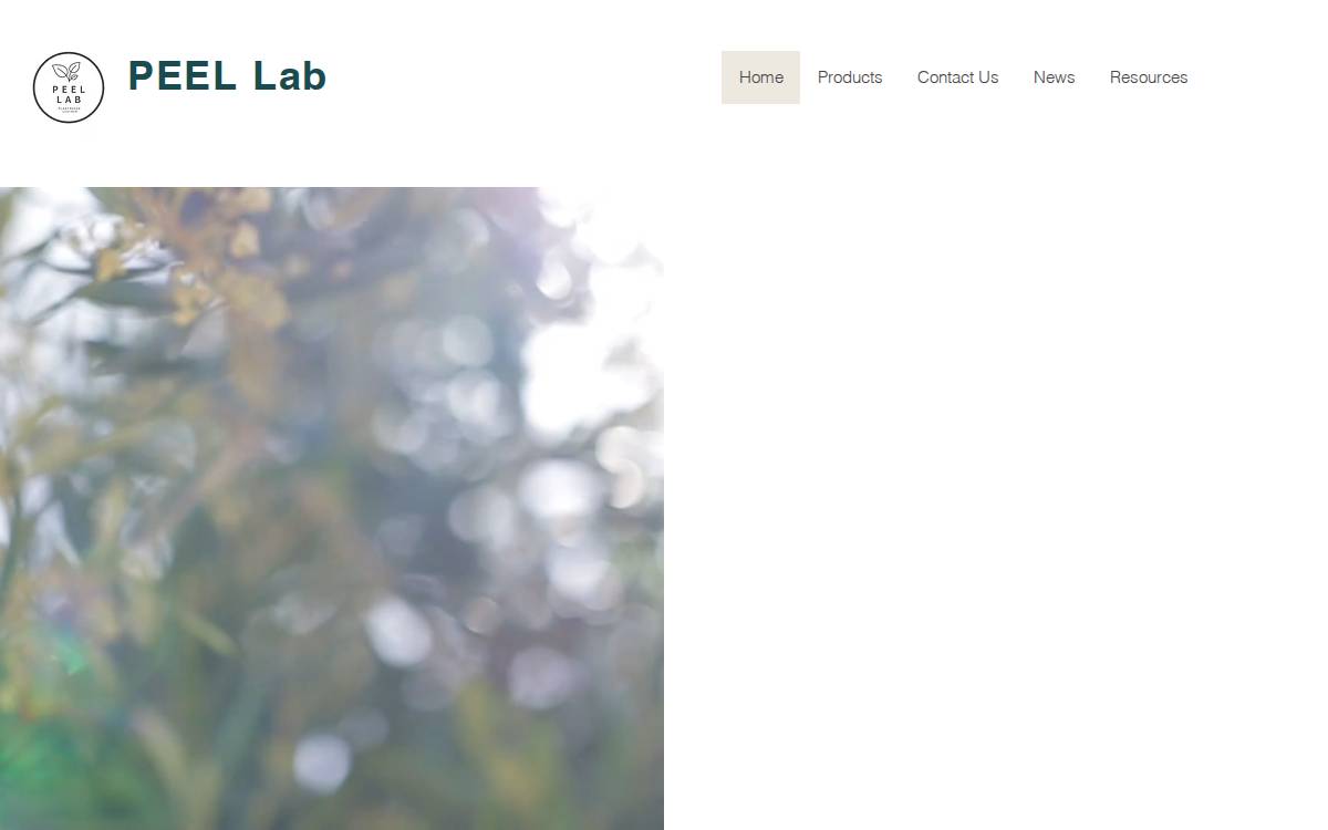 PEEL Lab株式会社 website preview