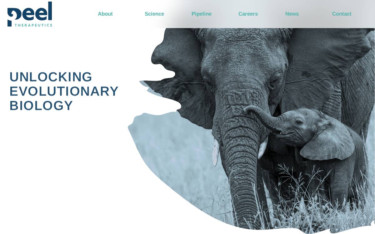 PEEL Therapeutics website preview