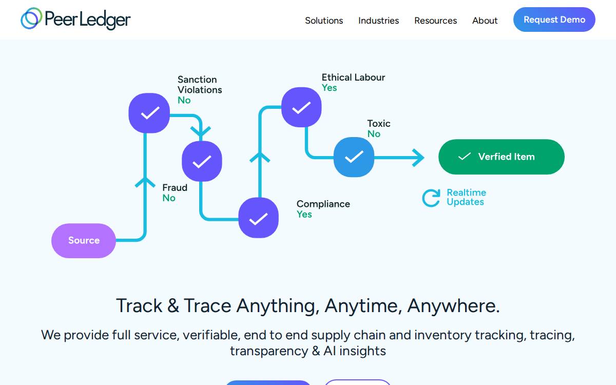 PEER LEDGER INC website preview