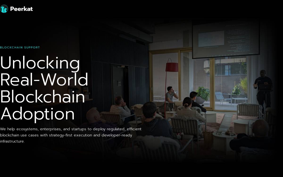 Peerkat website preview