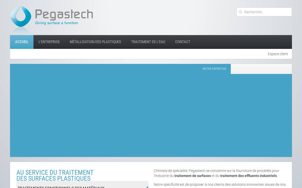 Pegastech website preview
