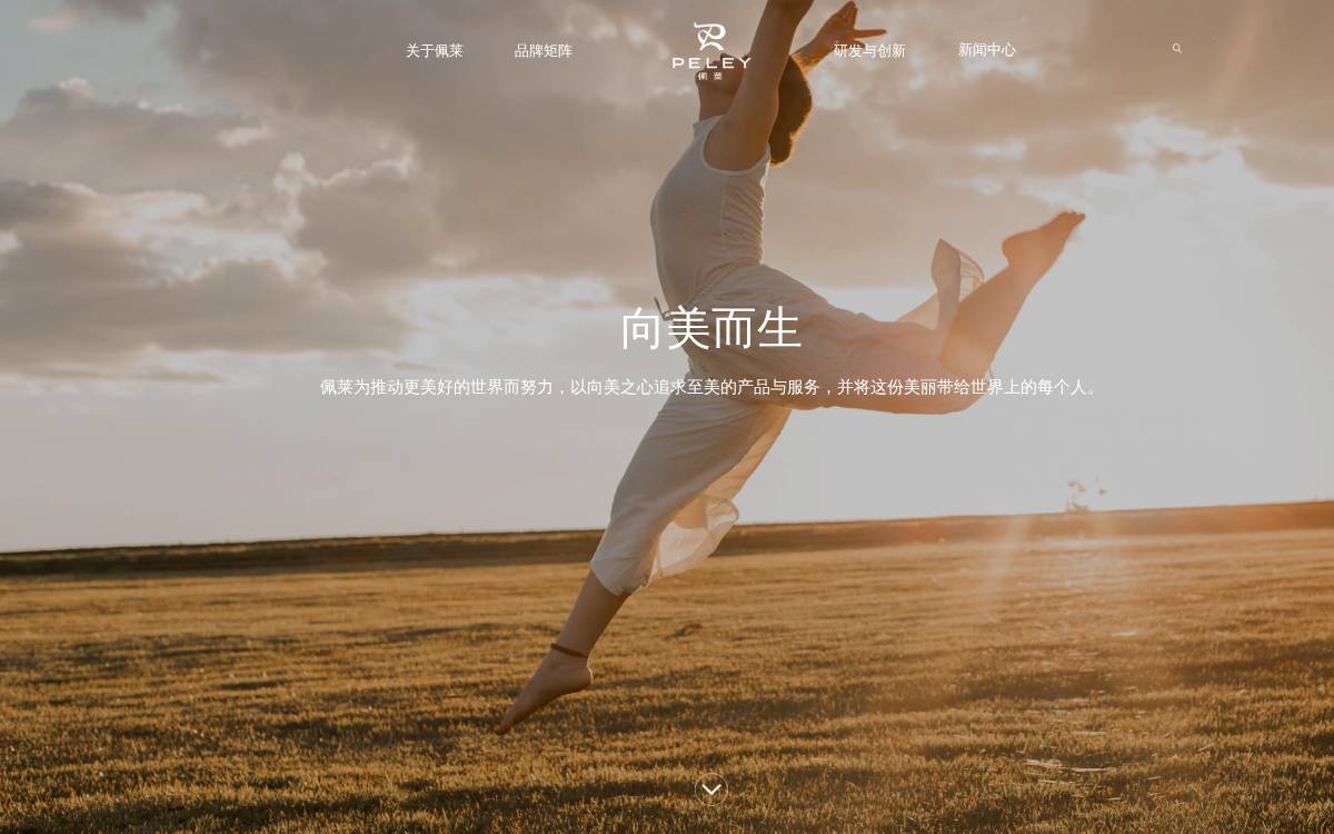 Peley website preview