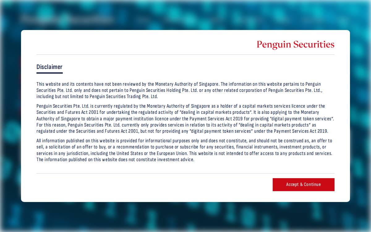 Penguinsecurities website preview