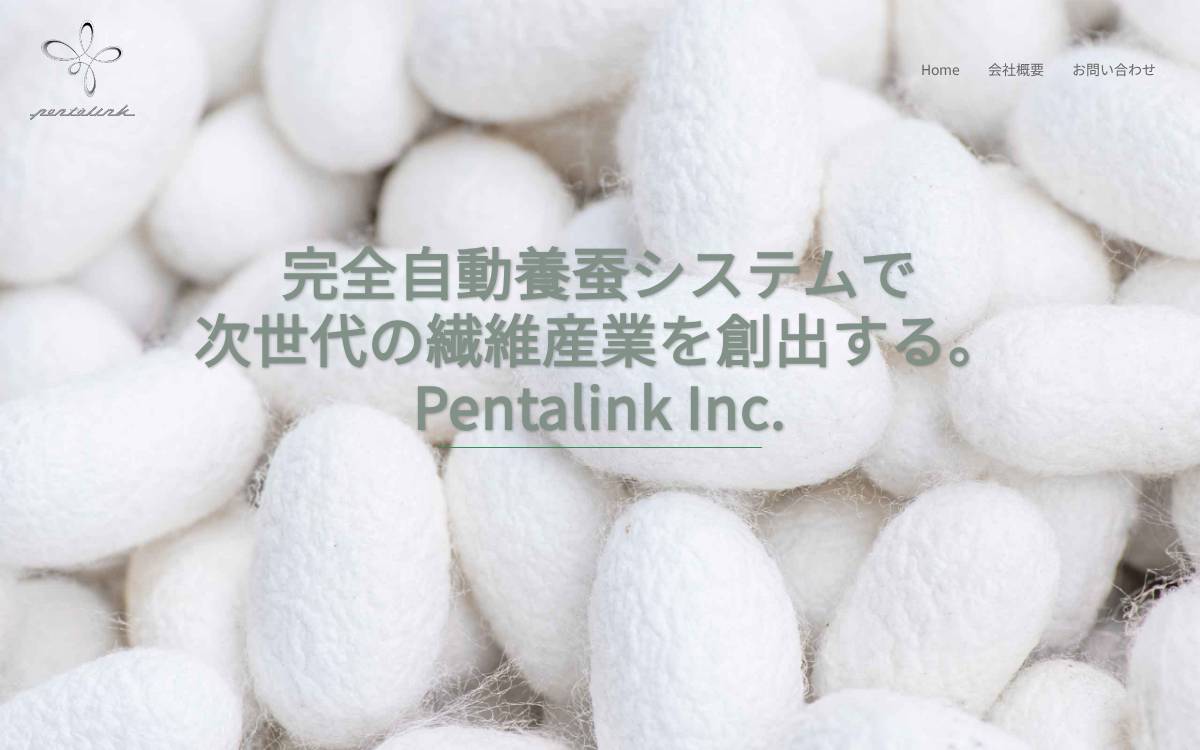 Pentalink website preview