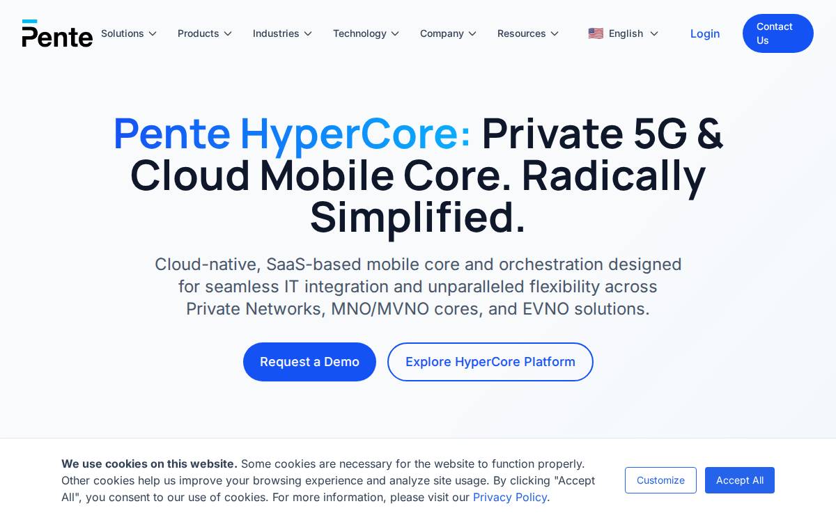 Pente Networks website preview