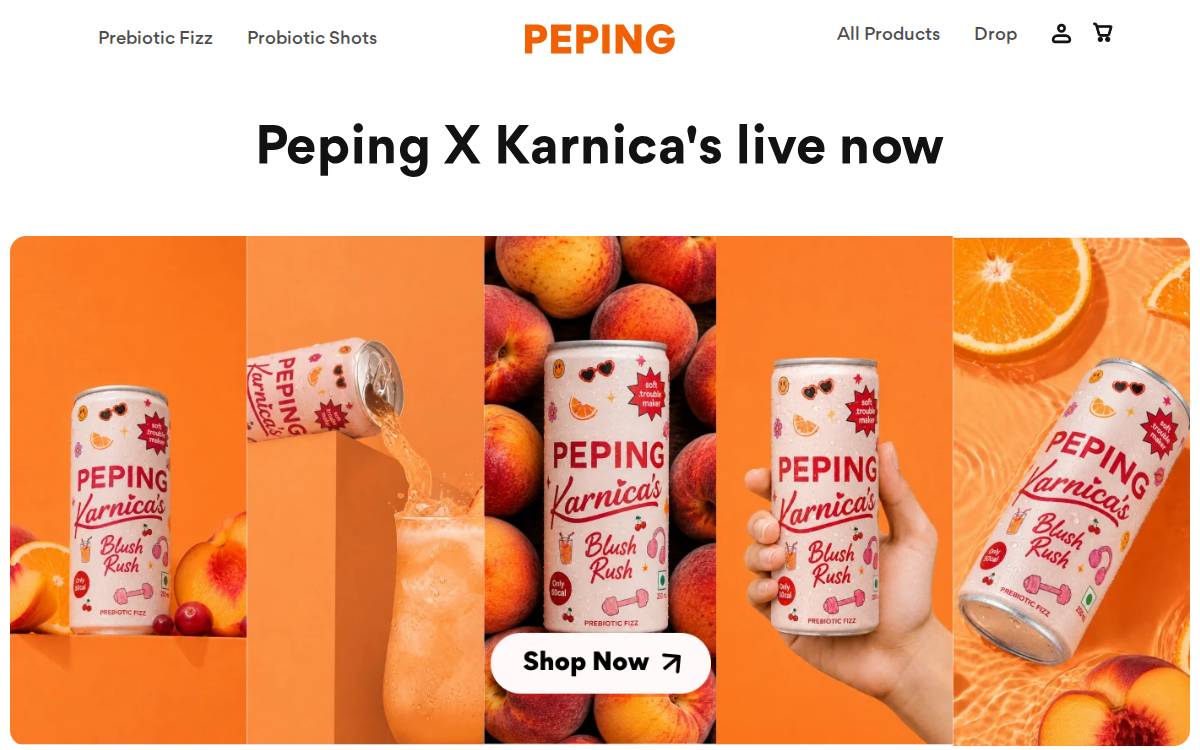 Peping website preview