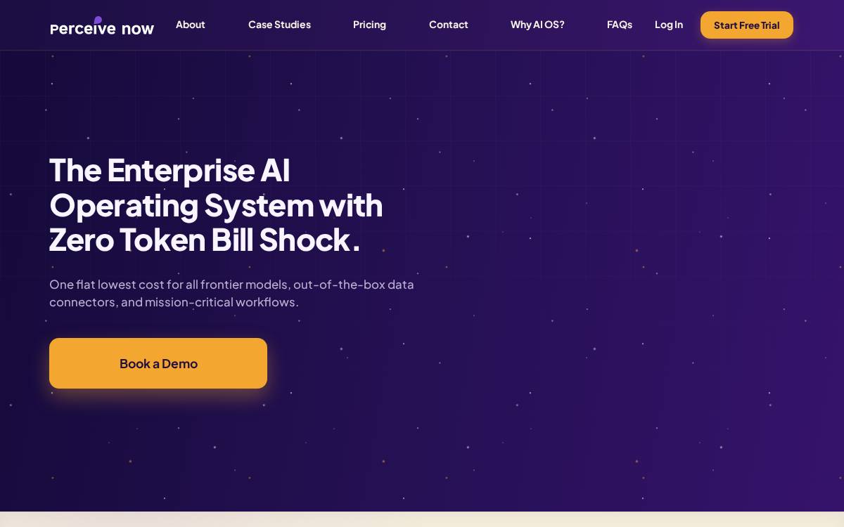 Perceive Now website preview