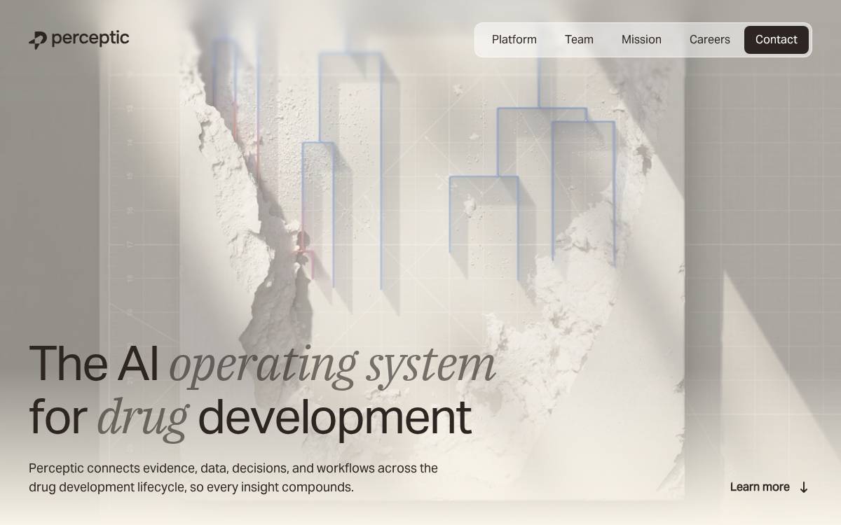 Perceptic website preview