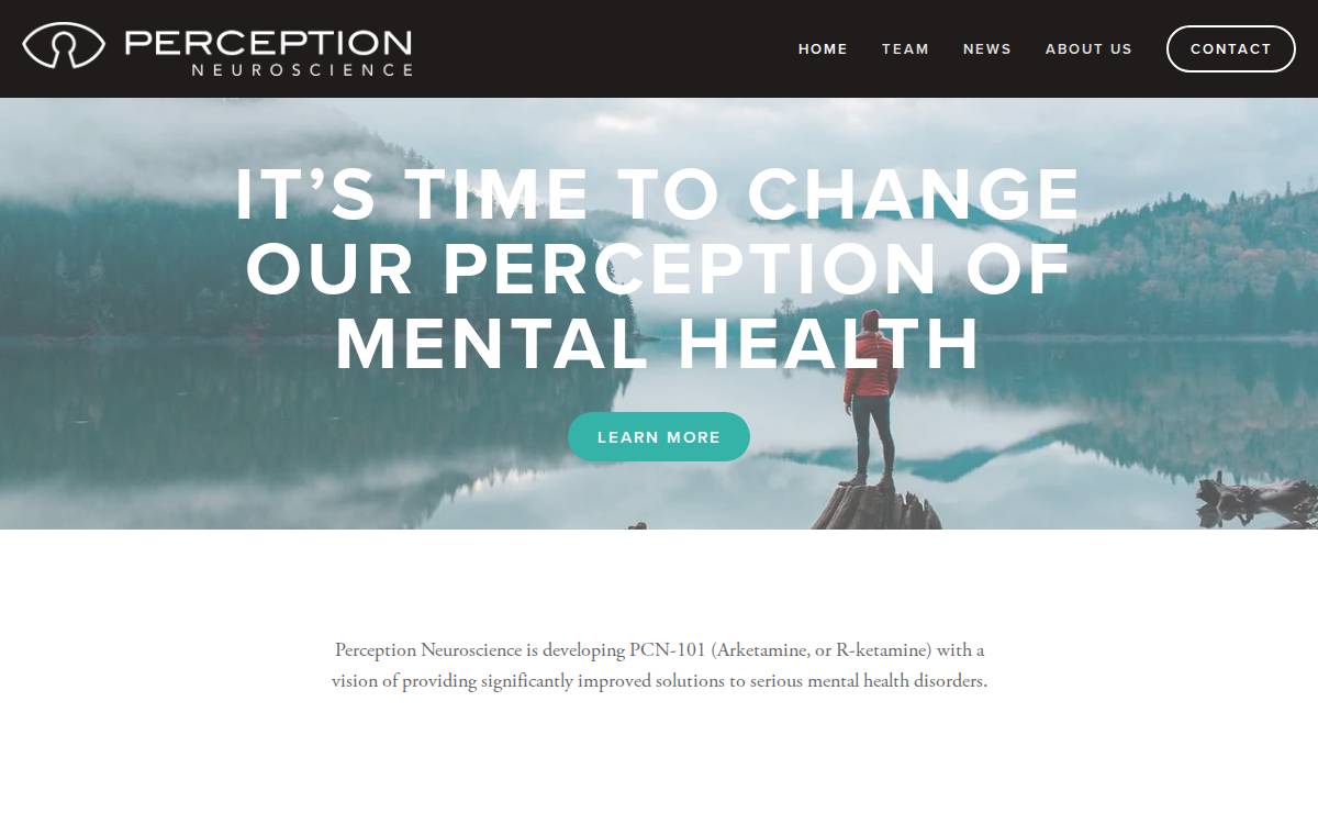 Perception Neuroscience website preview