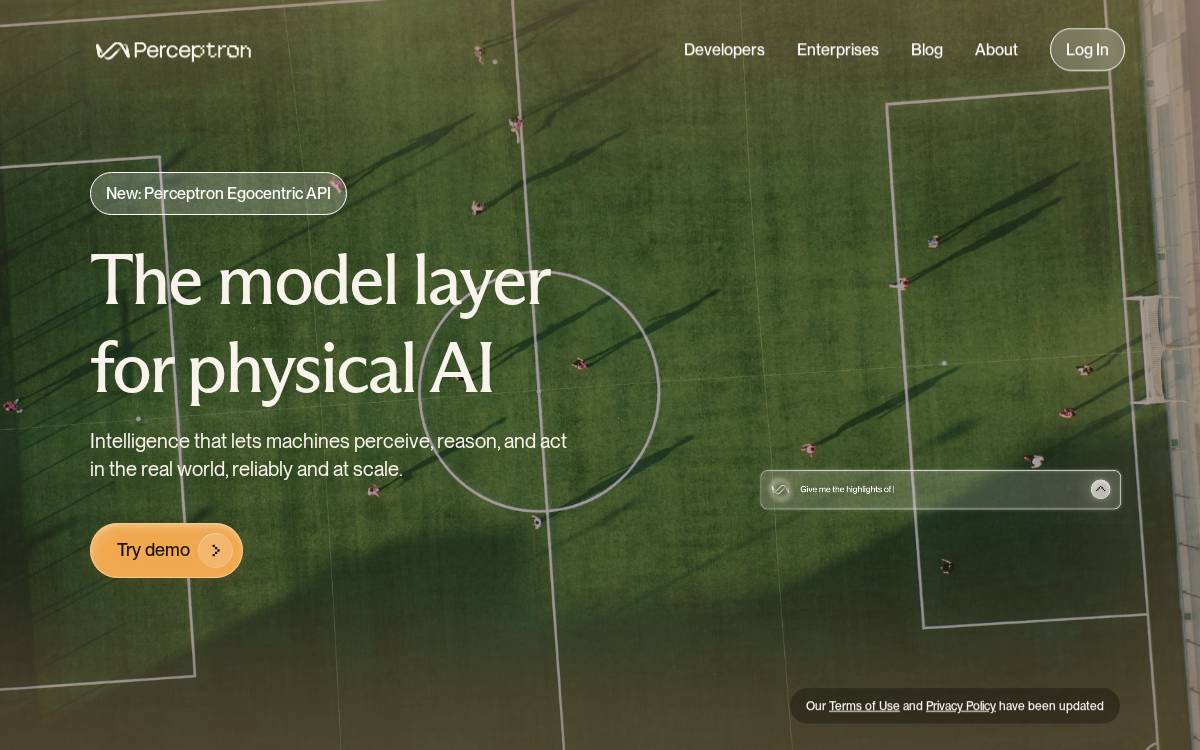 Perceptron website preview