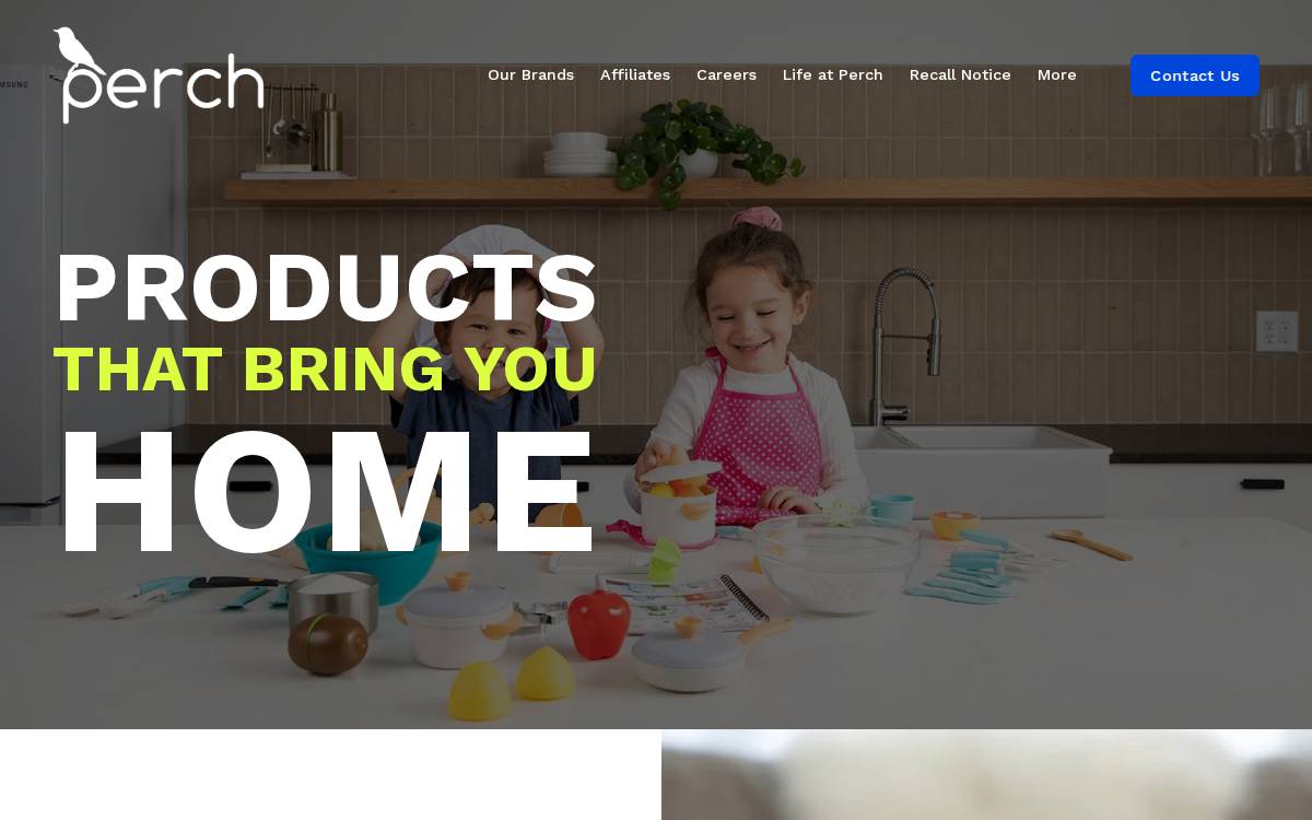 Perch website preview
