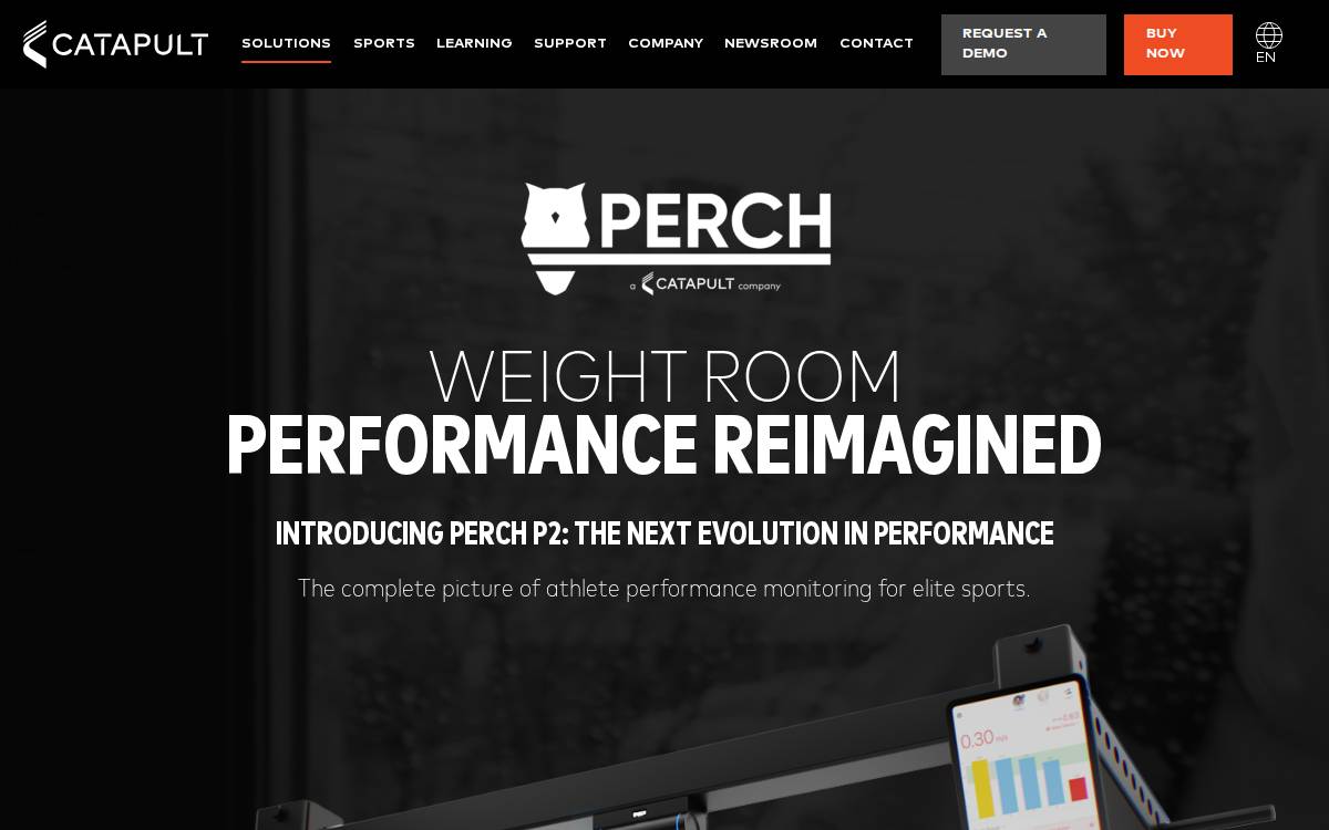 Perch website preview