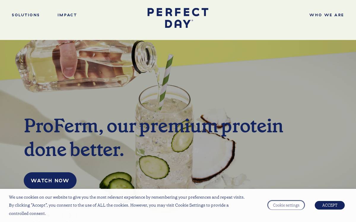 Perfect Day website preview