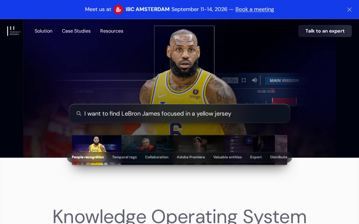 Perfect Memory website preview