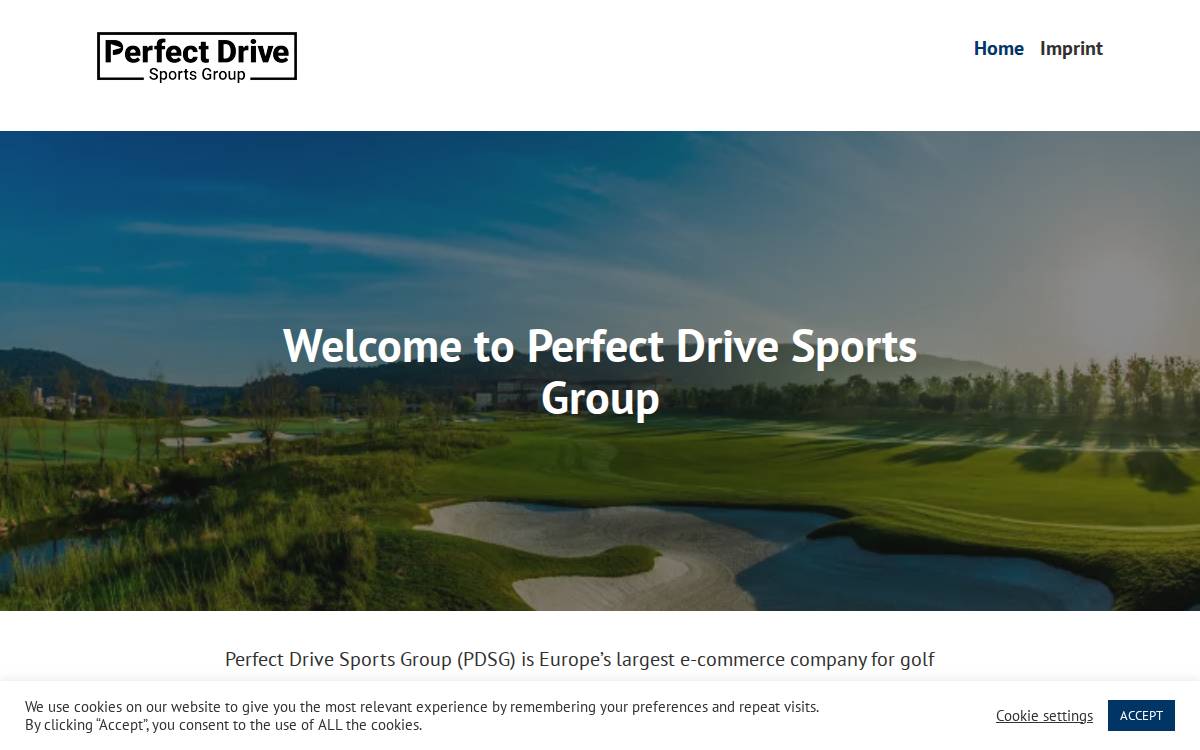 Perfectdrive website preview