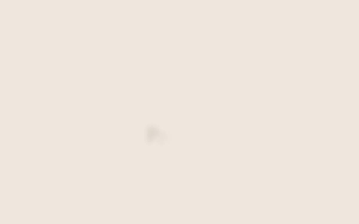 Perfectly website preview