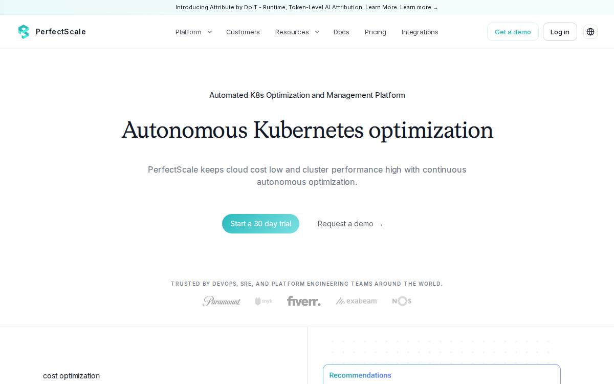Perfectscale website preview