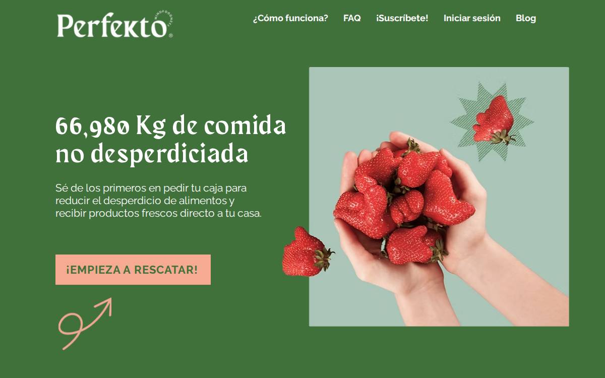 Perfekto website preview