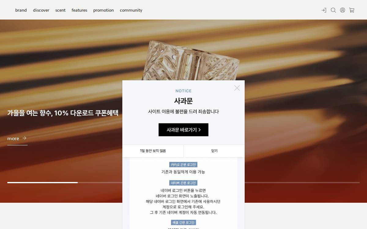 Perfumegraphy website preview