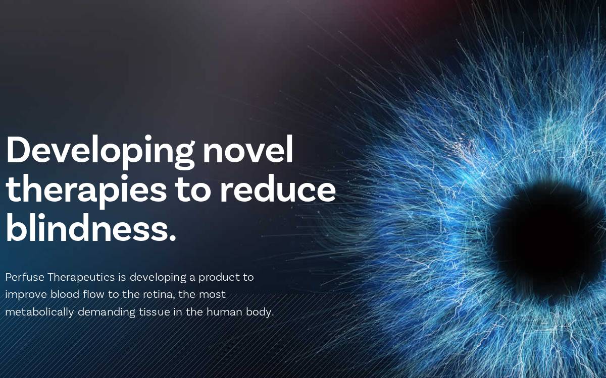 Perfuse Therapeutics website preview