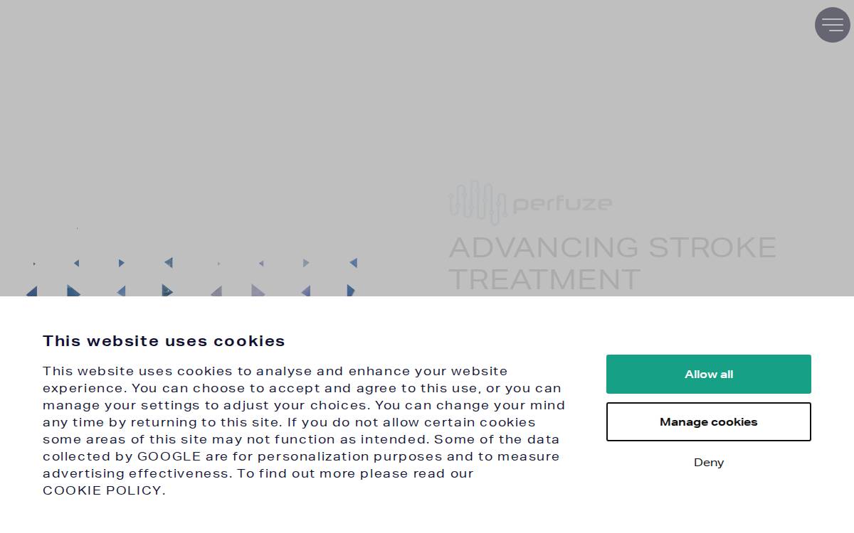 Perfuze website preview