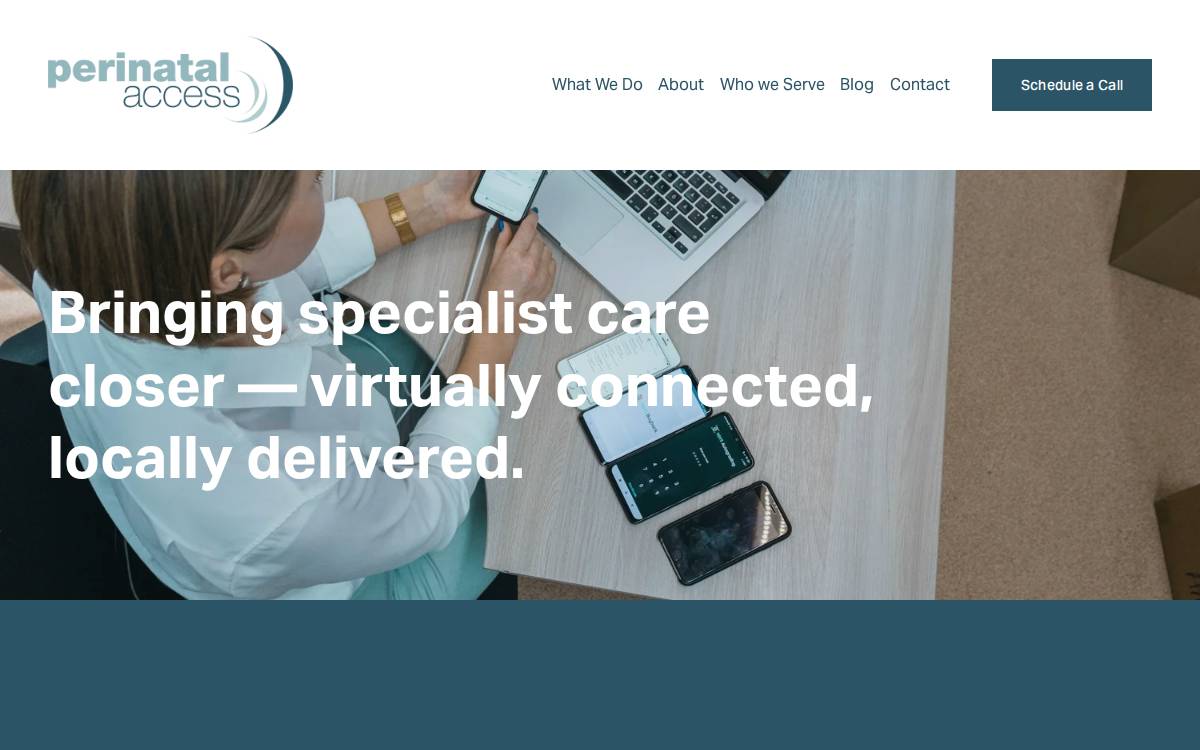 Perinatalaccess website preview