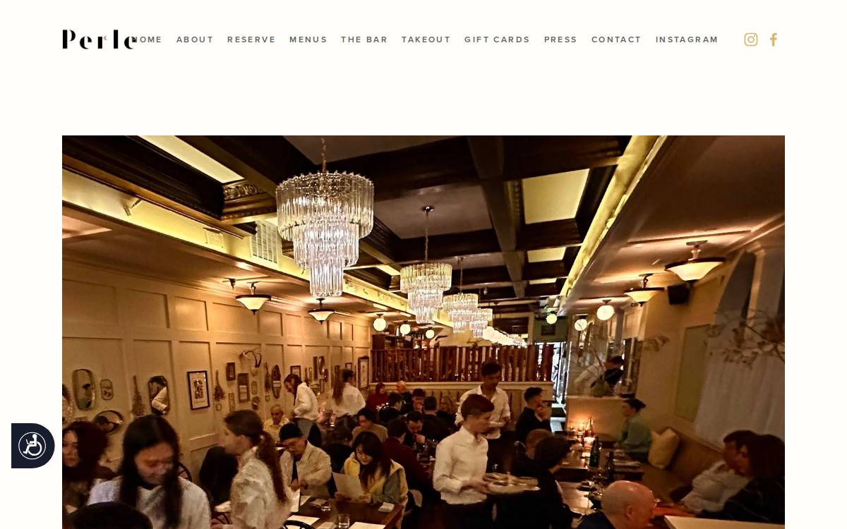 Perle website preview