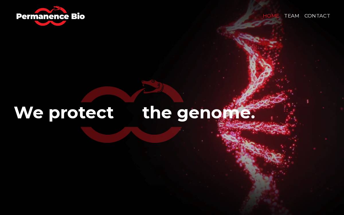 Permanence Bio Anti-Cancer Drugs website preview