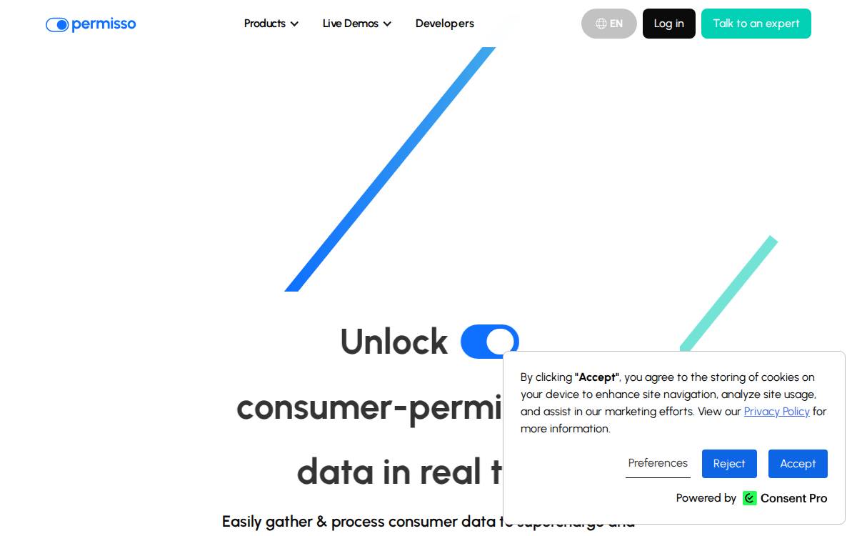 Permisso website preview