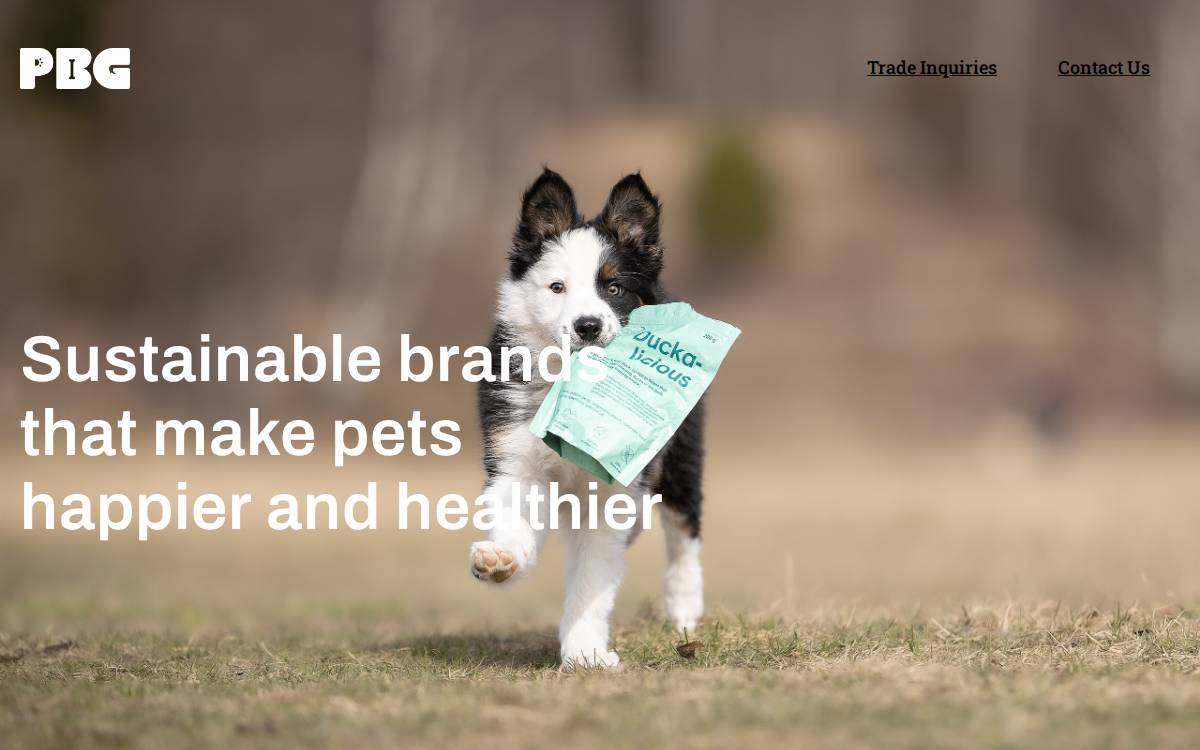 Pet Buddy Group website preview