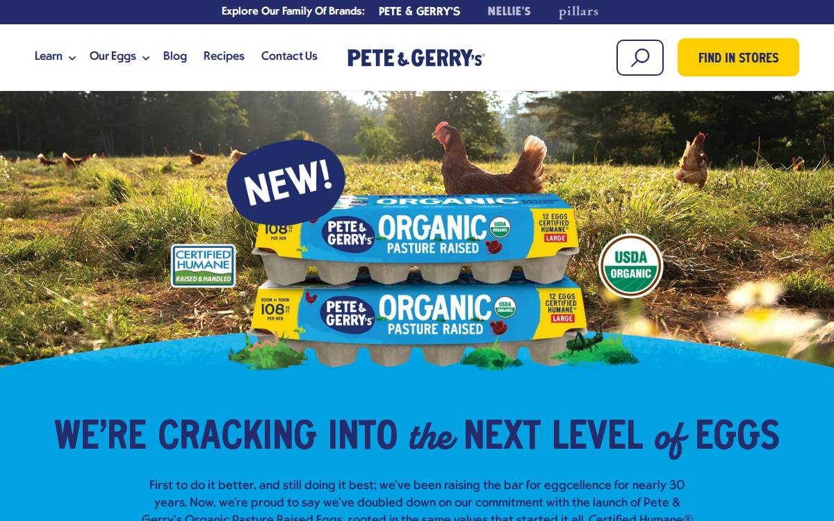 Peteandgerrys website preview
