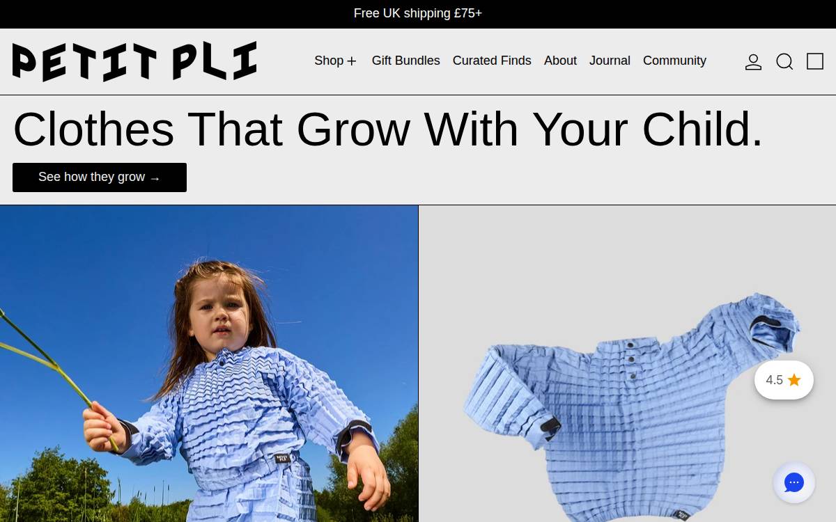 Petit Pli website preview