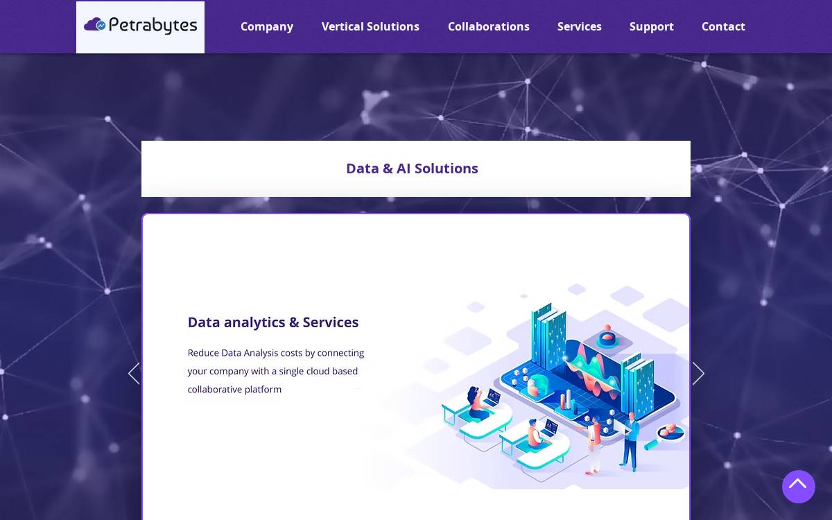 Petrabytes website preview