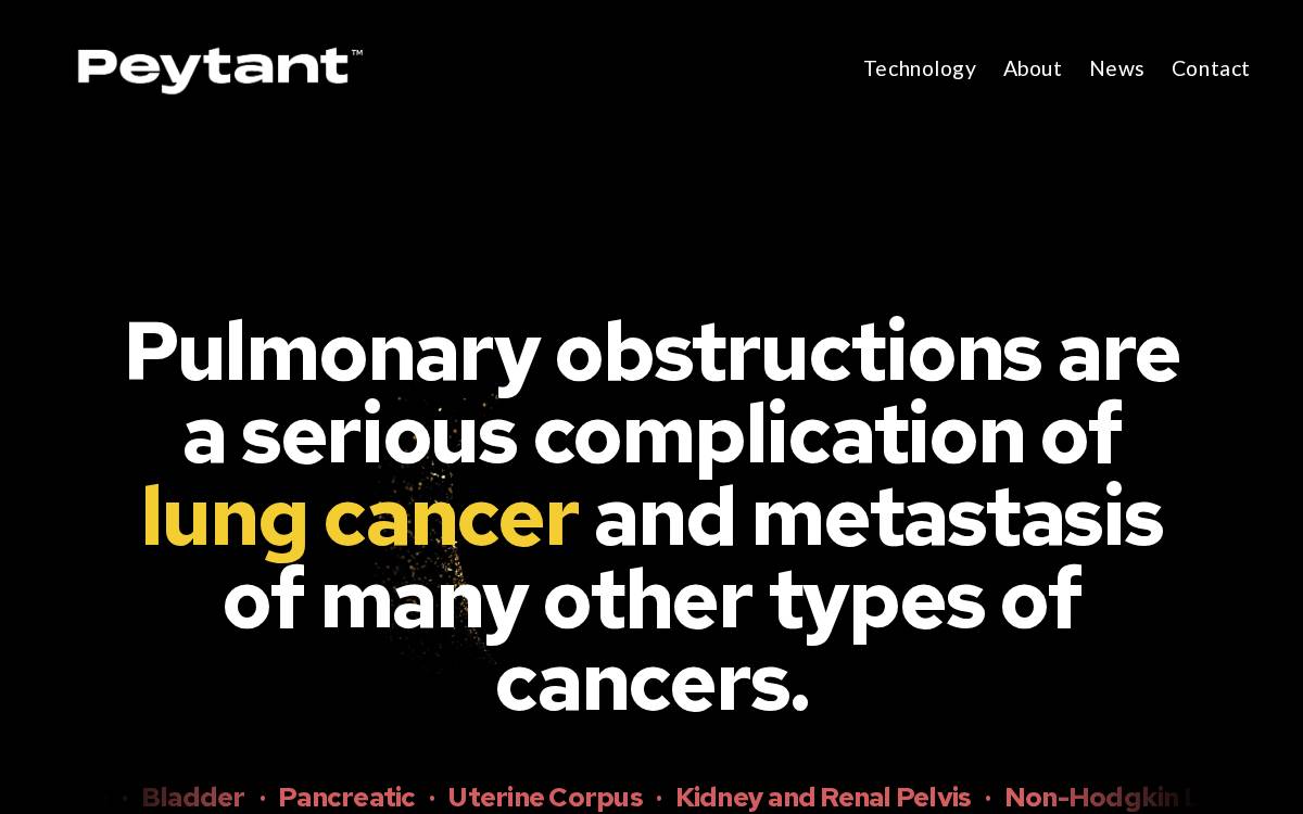 Peytant website preview