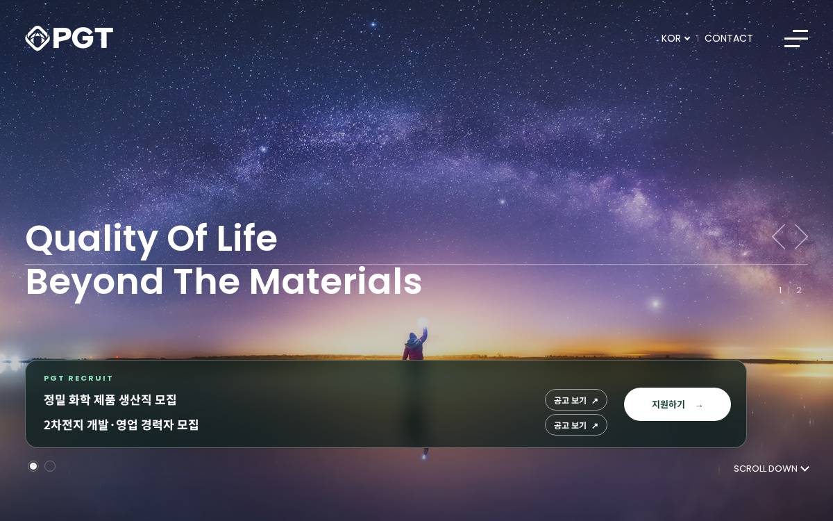 Pgtchem website preview