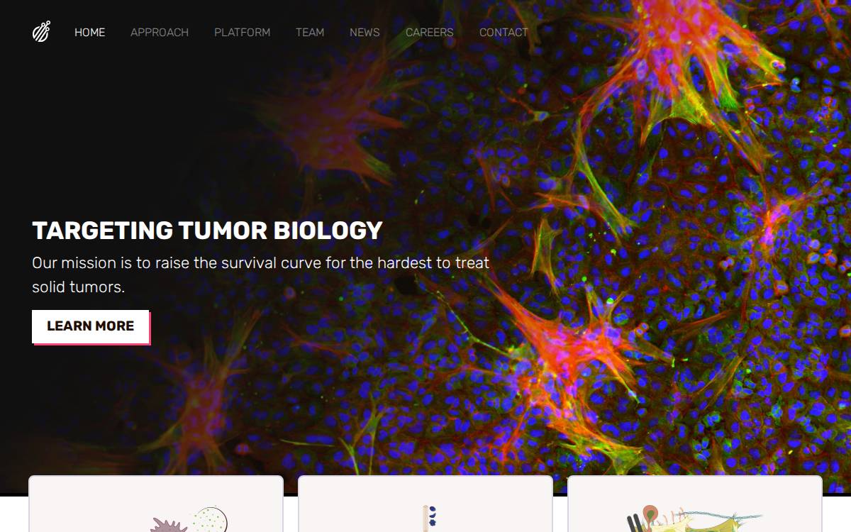 Phenomic AI website preview