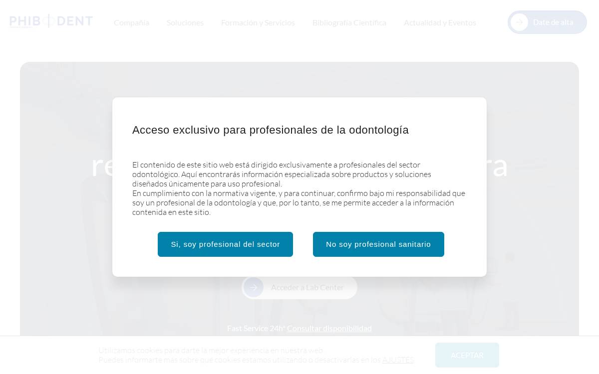 Phibo website preview