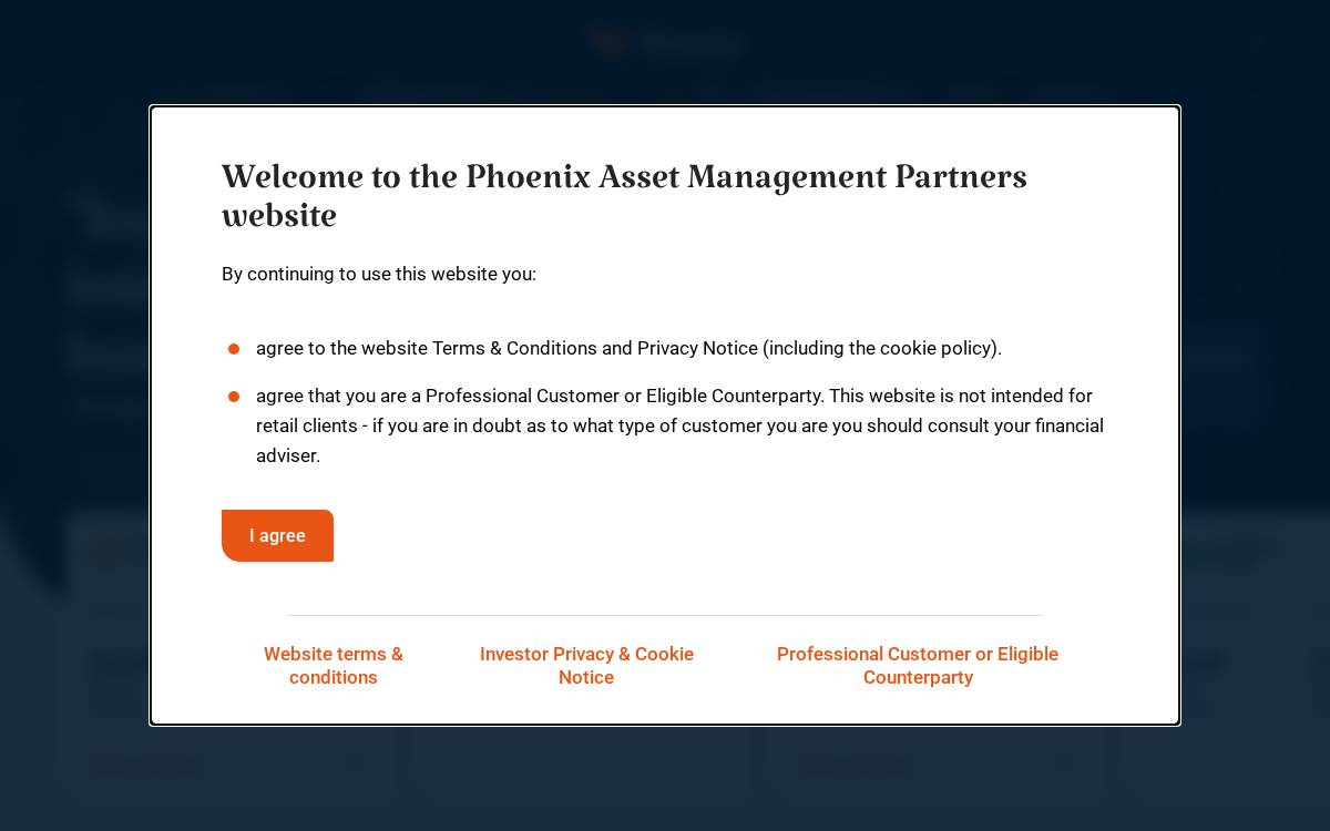 Phoenixassetmanagement website preview