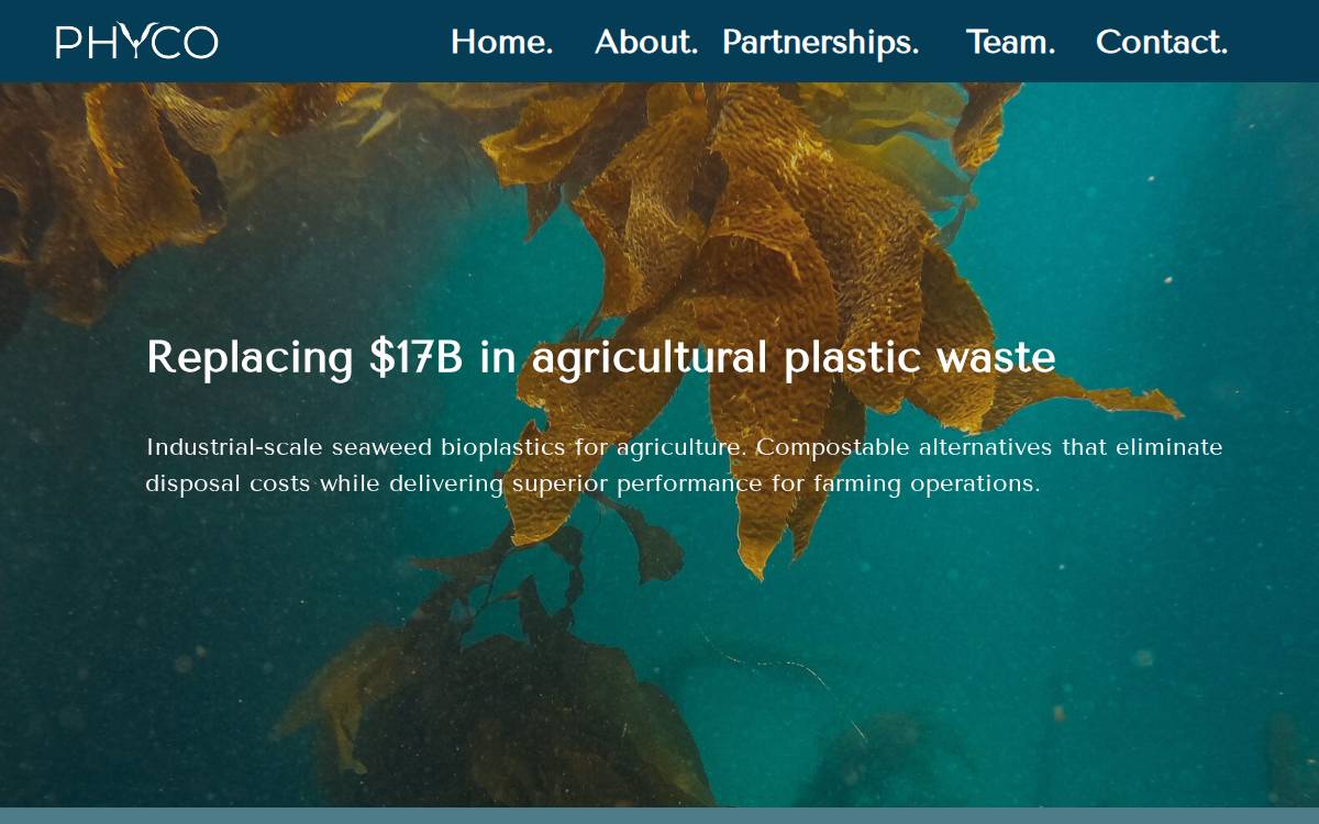 PhyCo Technologies website preview