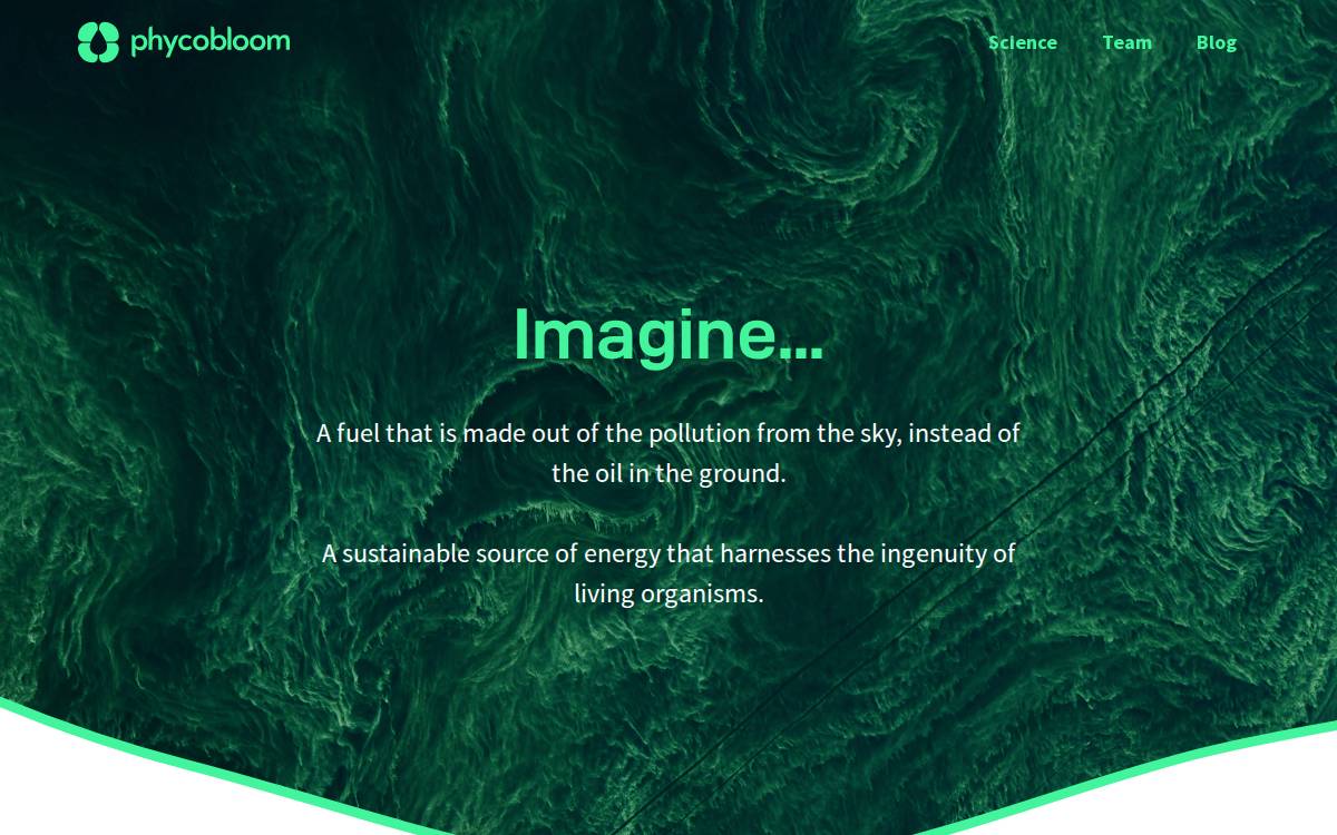Phycobloom website preview