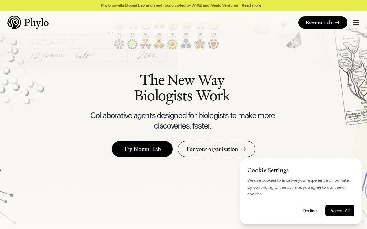 Phylo website preview