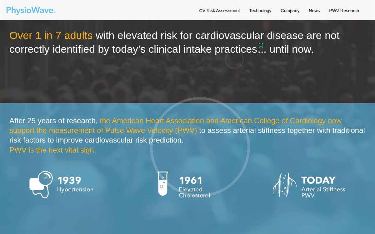 Physiowave website preview