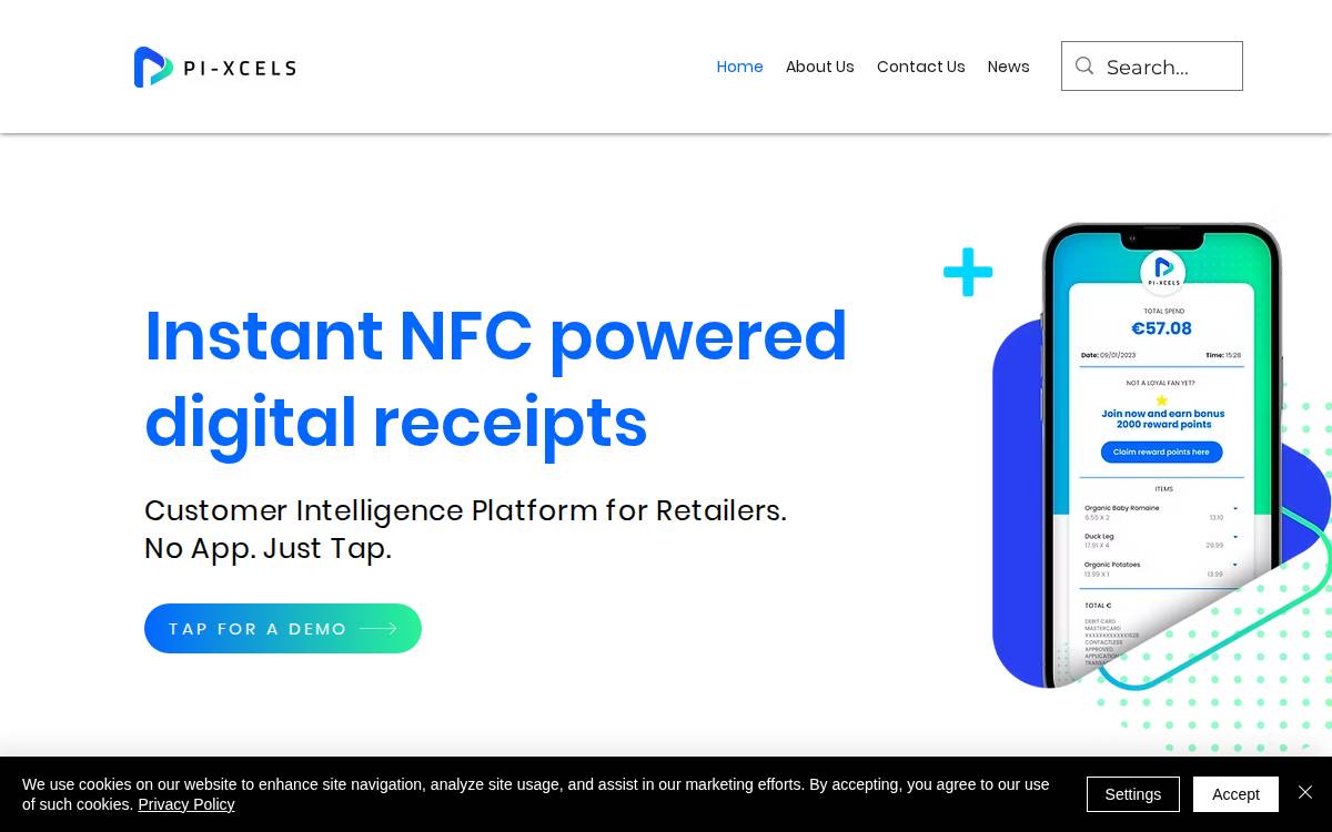 Pi-xcels website preview