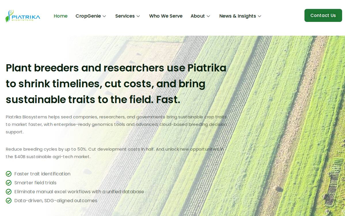 Piatrika website preview