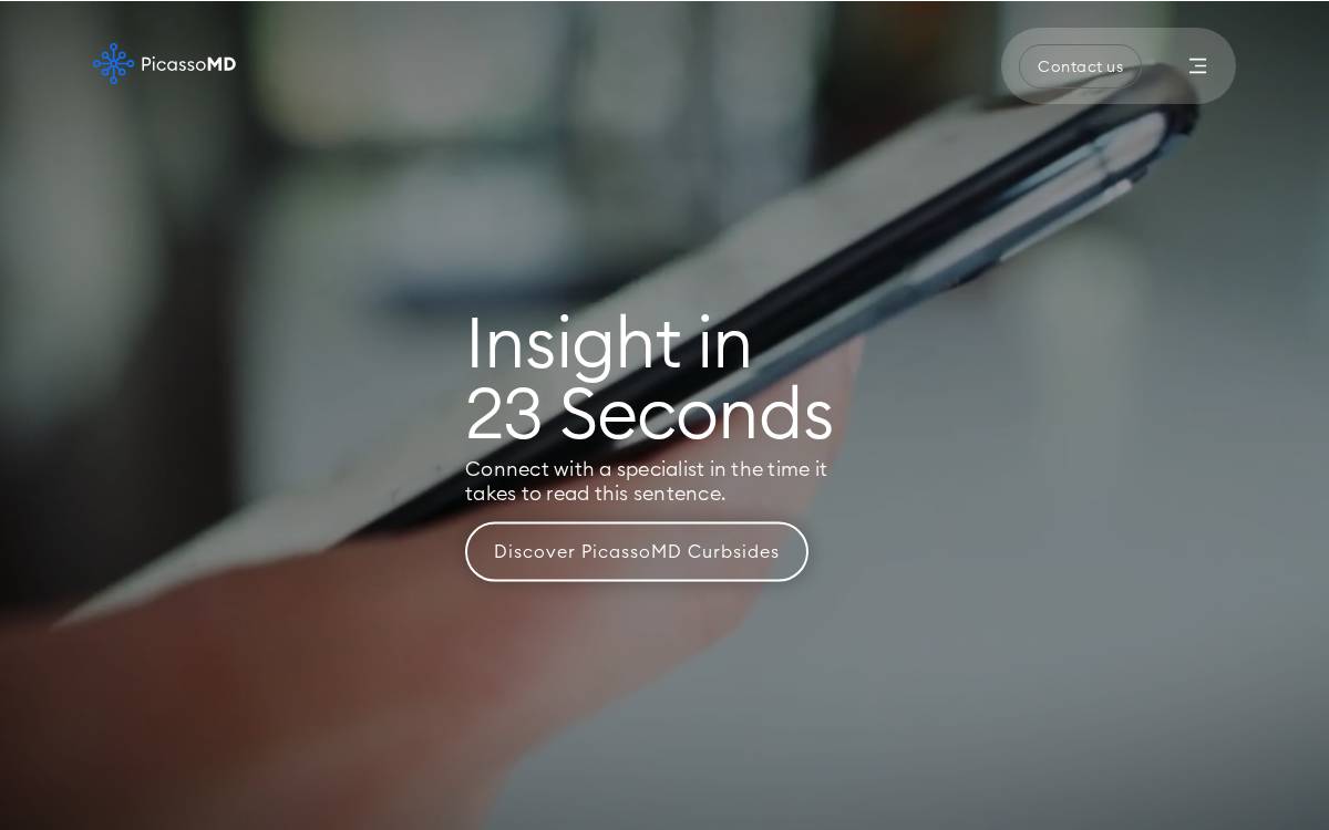 Picasso website preview