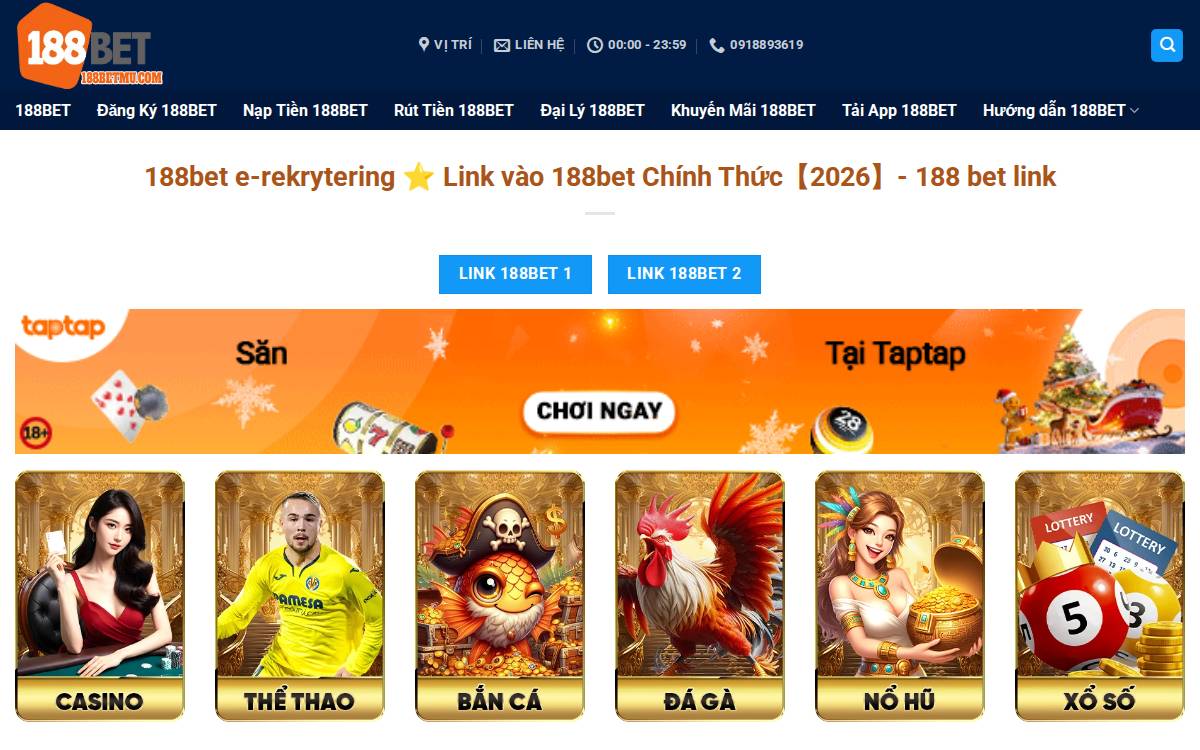 Picipo website preview