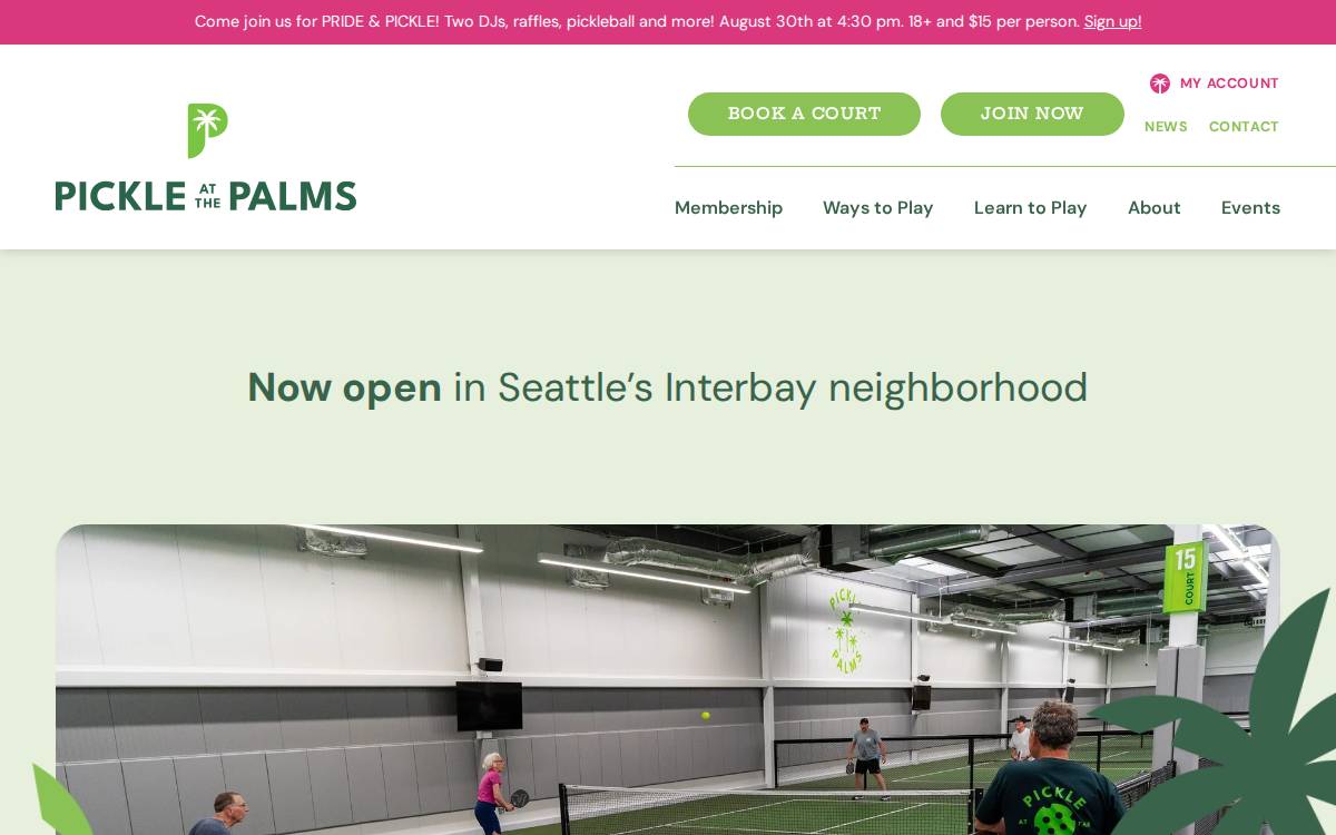 Pickle at the Palms website preview