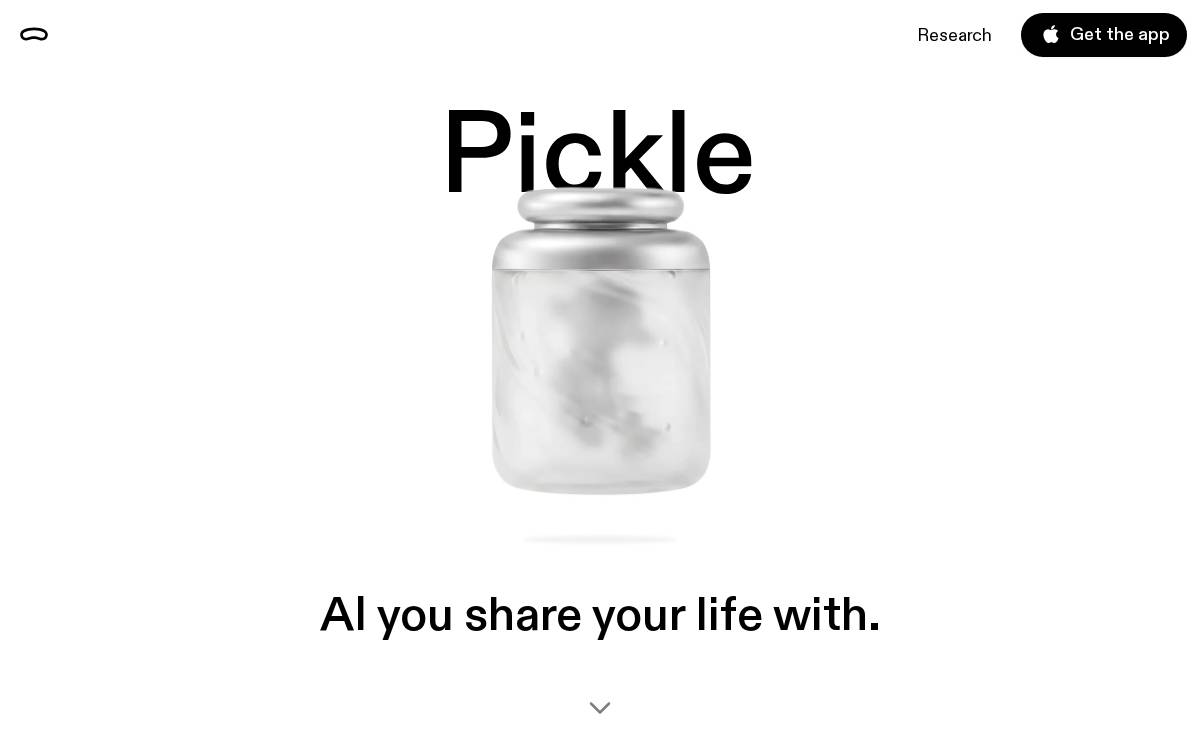 Pickle website preview